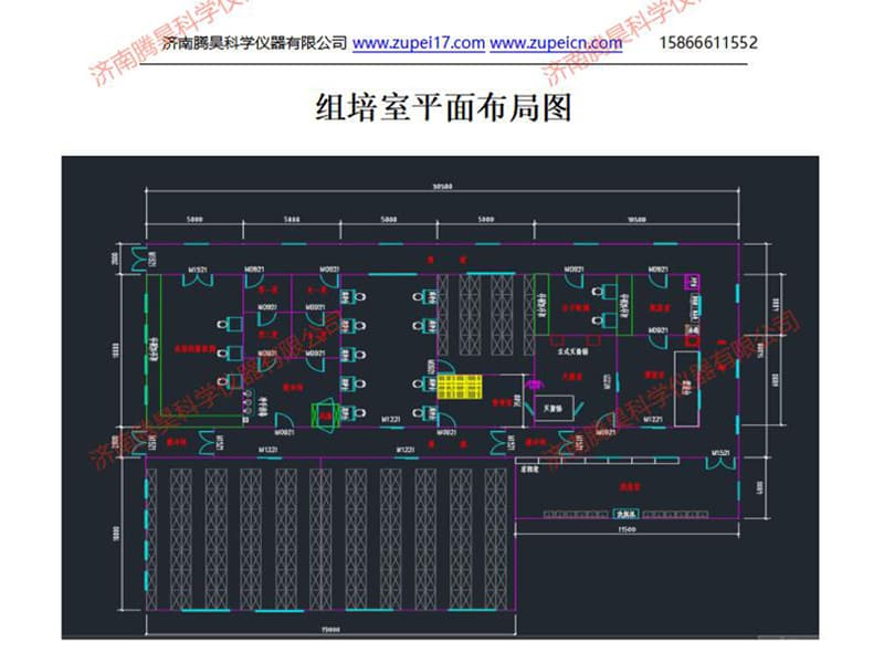 免费看片网站91室