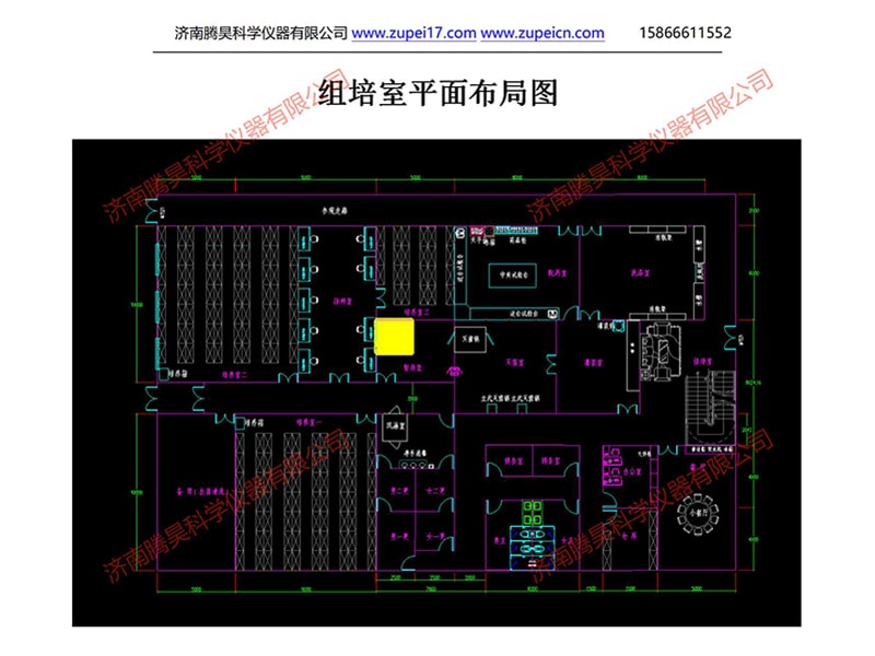 馬拉西亞植物免费看片网站91室（培養室）淨化設計