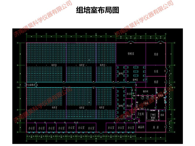 免费看片网站91室