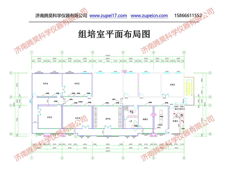 免费看片网站91室