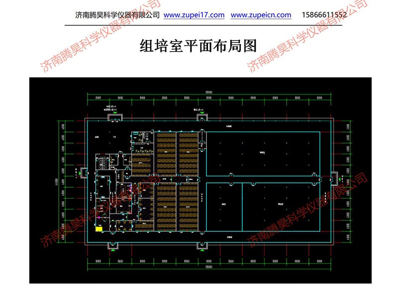 免费看片网站91  免费看片网站91室