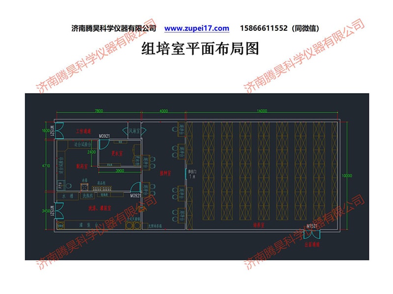 免费看片网站91室