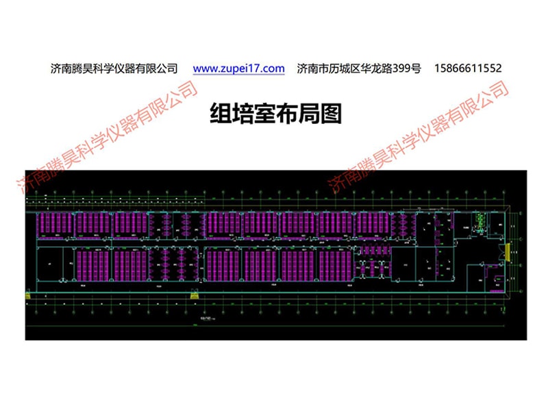 免费看片网站91  免费看片网站91室