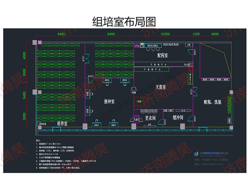 免费看片网站91室