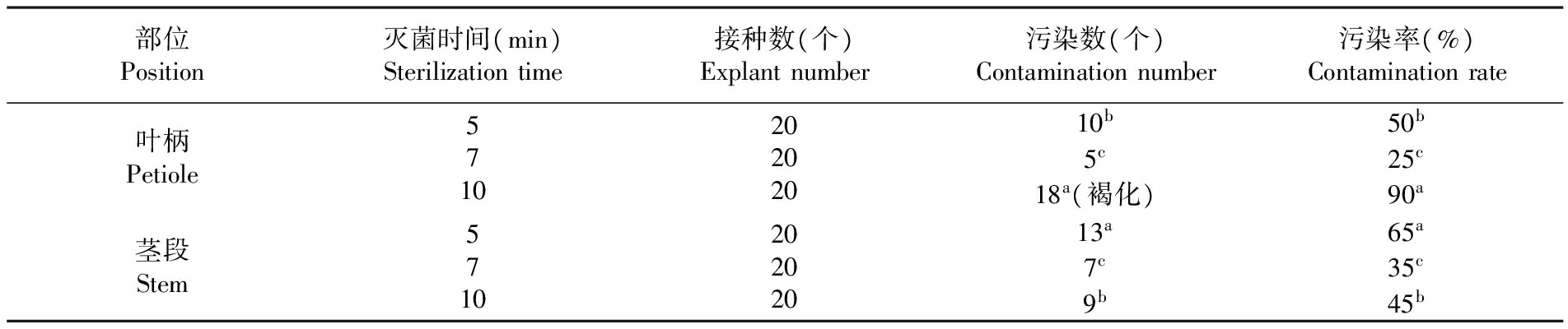 植物免费看片网站91設備