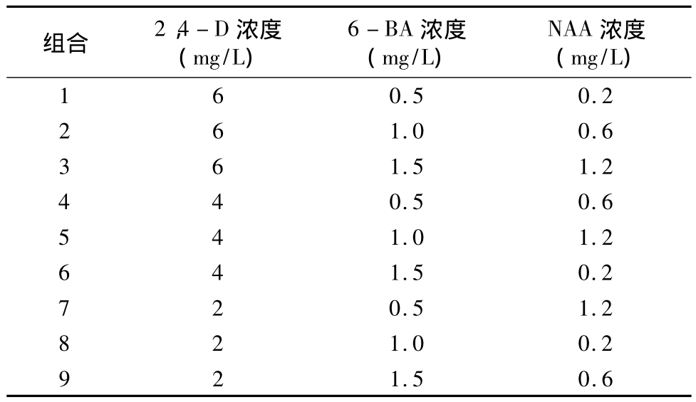 免费看片网站91實驗室